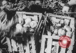 Standbild Franklin Roosevelt United States USA, 1933, aus Sekunde 19 historischem Filmmaterial Videoclip 65675079102
