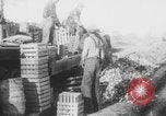 Standbild Franklin Roosevelt United States USA, 1933, aus Sekunde 20 historischem Filmmaterial Videoclip 65675079102