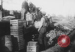 Standbild Franklin Roosevelt United States USA, 1933, aus Sekunde 21 historischem Filmmaterial Videoclip 65675079102