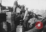 Standbild Franklin Roosevelt United States USA, 1933, aus Sekunde 22 historischem Filmmaterial Videoclip 65675079102