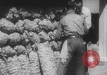 Standbild Franklin Roosevelt United States USA, 1933, aus Sekunde 33 historischem Filmmaterial Videoclip 65675079102