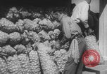 Standbild Franklin Roosevelt United States USA, 1933, aus Sekunde 34 historischem Filmmaterial Videoclip 65675079102