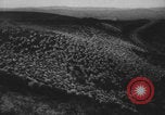 Standbild Franklin Roosevelt United States USA, 1933, aus Sekunde 3 historischem Filmmaterial Videoclip 65675079103