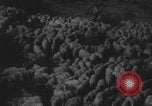 Standbild Franklin Roosevelt United States USA, 1933, aus Sekunde 5 historischem Filmmaterial Videoclip 65675079103
