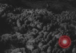 Standbild Franklin Roosevelt United States USA, 1933, aus Sekunde 6 historischem Filmmaterial Videoclip 65675079103