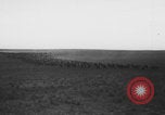 Standbild Franklin Roosevelt United States USA, 1933, aus Sekunde 28 historischem Filmmaterial Videoclip 65675079103