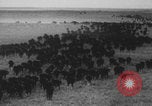 Standbild Franklin Roosevelt United States USA, 1933, aus Sekunde 32 historischem Filmmaterial Videoclip 65675079103