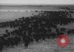 Standbild Franklin Roosevelt United States USA, 1933, aus Sekunde 33 historischem Filmmaterial Videoclip 65675079103