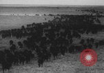 Standbild Franklin Roosevelt United States USA, 1933, aus Sekunde 34 historischem Filmmaterial Videoclip 65675079103