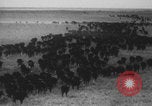 Standbild Franklin Roosevelt United States USA, 1933, aus Sekunde 35 historischem Filmmaterial Videoclip 65675079103