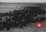 Standbild Franklin Roosevelt United States USA, 1933, aus Sekunde 36 historischem Filmmaterial Videoclip 65675079103