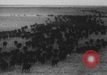 Standbild Franklin Roosevelt United States USA, 1933, aus Sekunde 37 historischem Filmmaterial Videoclip 65675079103