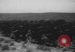 Standbild Franklin Roosevelt United States USA, 1933, aus Sekunde 38 historischem Filmmaterial Videoclip 65675079103