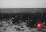 Standbild Franklin Roosevelt United States USA, 1933, aus Sekunde 39 historischem Filmmaterial Videoclip 65675079103