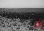 Standbild Franklin Roosevelt United States USA, 1933, aus Sekunde 40 historischem Filmmaterial Videoclip 65675079103