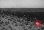 Standbild Franklin Roosevelt United States USA, 1933, aus Sekunde 41 historischem Filmmaterial Videoclip 65675079103