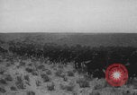 Standbild Franklin Roosevelt United States USA, 1933, aus Sekunde 42 historischem Filmmaterial Videoclip 65675079103