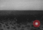 Standbild Franklin Roosevelt United States USA, 1933, aus Sekunde 43 historischem Filmmaterial Videoclip 65675079103