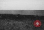 Standbild Franklin Roosevelt United States USA, 1933, aus Sekunde 48 historischem Filmmaterial Videoclip 65675079103