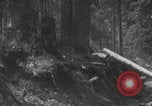 Standbild Franklin Roosevelt United States USA, 1933, aus Sekunde 23 historischem Filmmaterial Videoclip 65675079104