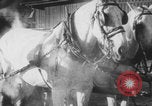 Image of Franklin Roosevelt United States USA, 1933, second 4 stock footage video 65675079106