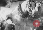 Image of Franklin Roosevelt United States USA, 1933, second 5 stock footage video 65675079106