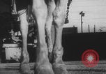 Image of Franklin Roosevelt United States USA, 1933, second 11 stock footage video 65675079106
