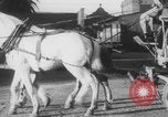 Image of Franklin Roosevelt United States USA, 1933, second 13 stock footage video 65675079106