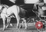 Image of Franklin Roosevelt United States USA, 1933, second 14 stock footage video 65675079106