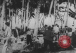 Image of Nazis visit tropical island South Pacific Ocean, 1942, second 44 stock footage video 65675079109