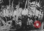 Image of Nazis visit tropical island South Pacific Ocean, 1942, second 45 stock footage video 65675079109