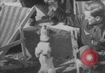 Image of Jagdgeschwader 53 Luftwaffe Sicily Sicily Italy, 1942, second 4 stock footage video 65675079111