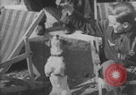 Image of Jagdgeschwader 53 Luftwaffe Sicily Sicily Italy, 1942, second 5 stock footage video 65675079111