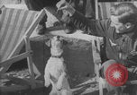 Image of Jagdgeschwader 53 Luftwaffe Sicily Sicily Italy, 1942, second 6 stock footage video 65675079111