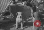 Image of Jagdgeschwader 53 Luftwaffe Sicily Sicily Italy, 1942, second 8 stock footage video 65675079111