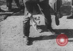 Image of Jagdgeschwader 53 Luftwaffe Sicily Sicily Italy, 1942, second 11 stock footage video 65675079111