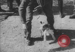 Image of Jagdgeschwader 53 Luftwaffe Sicily Sicily Italy, 1942, second 12 stock footage video 65675079111