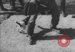 Image of Jagdgeschwader 53 Luftwaffe Sicily Sicily Italy, 1942, second 13 stock footage video 65675079111