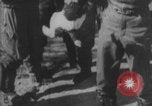 Image of Jagdgeschwader 53 Luftwaffe Sicily Sicily Italy, 1942, second 14 stock footage video 65675079111