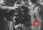 Image of Jagdgeschwader 53 Luftwaffe Sicily Sicily Italy, 1942, second 15 stock footage video 65675079111