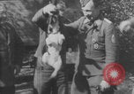 Image of Jagdgeschwader 53 Luftwaffe Sicily Sicily Italy, 1942, second 22 stock footage video 65675079111