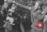 Image of Jagdgeschwader 53 Luftwaffe Sicily Sicily Italy, 1942, second 23 stock footage video 65675079111