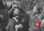 Image of Jagdgeschwader 53 Luftwaffe Sicily Sicily Italy, 1942, second 24 stock footage video 65675079111