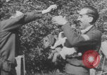 Image of Jagdgeschwader 53 Luftwaffe Sicily Sicily Italy, 1942, second 27 stock footage video 65675079111