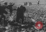 Image of Albert Kesselring visits Sicily Sicily Italy, 1942, second 23 stock footage video 65675079112