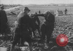 Image of Albert Kesselring visits Sicily Sicily Italy, 1942, second 26 stock footage video 65675079112