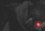 Image of RAF bomber damaged during flight United Kingdom, 1941, second 39 stock footage video 65675079118