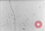 Image of V-1 wingless prototype testing Germany, 1944, second 46 stock footage video 65675079142