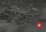Image Philippines occupation japonaise libération américaine Manille Philippines, 1946, de la seconde 12 séquences d'archives historiques vidéo 65675079150