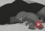 Image Snafu Infantry Blues privé United States USA, 1943, de la seconde 51 séquences d'archives historiques vidéo 65675079151